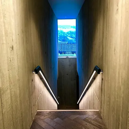 Alpenloge Design 酒店 沙伊代格