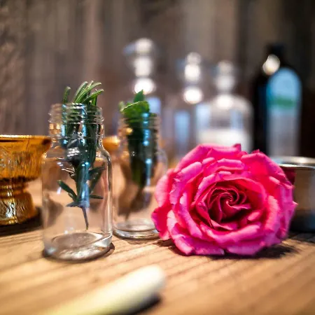 Alpenloge Design فندق